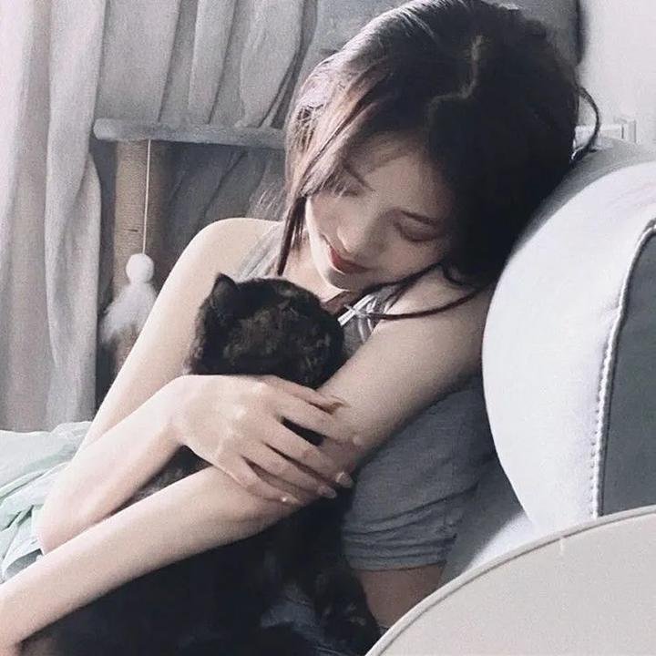倩狐之京卫怪谈